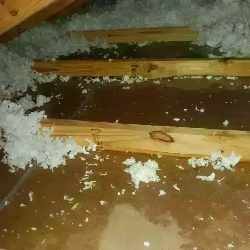 Attic Water Damage in Bridge City, TX