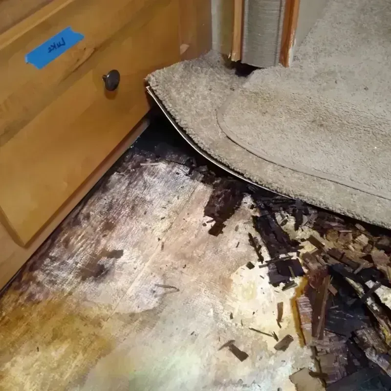 Wood Floor Water Damage in Bridge City, TX